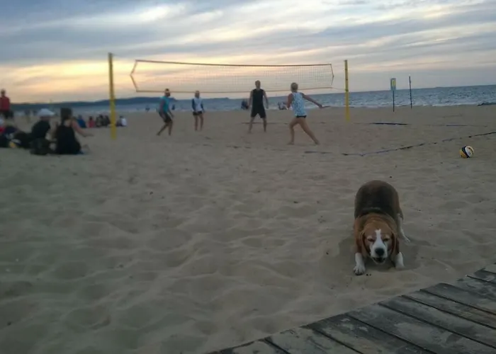 Przymorze Vandrerhjem *